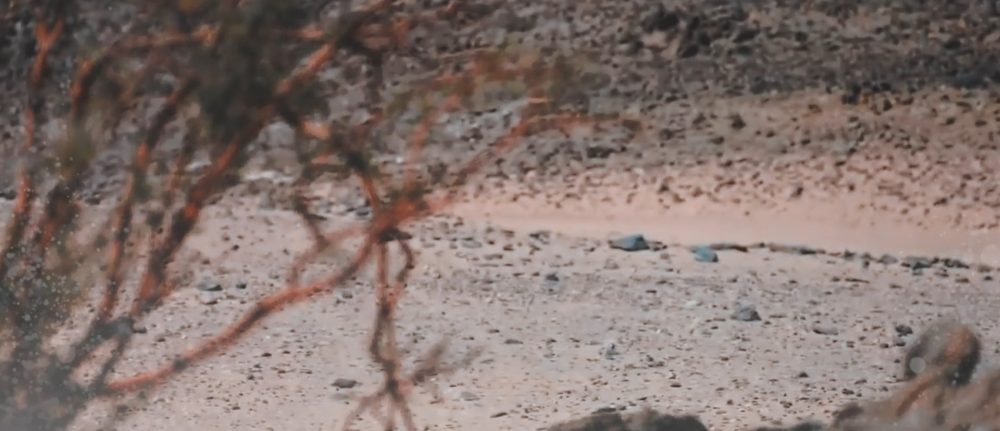 The Essence of Hajj & Ziyaraat 6 – Uhud Mosque
